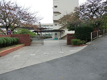中学校 2400m 横浜市立西柴中学校