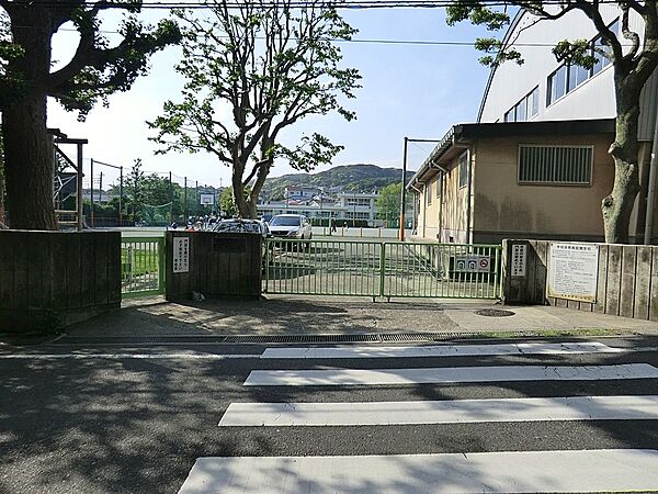 周辺を拡大表示