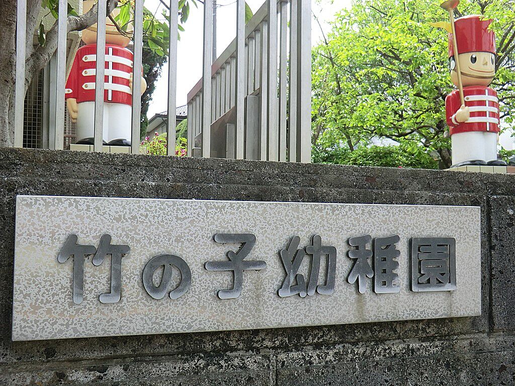 Image 8