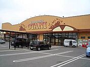フードオアシスOTANI五代店 987m