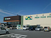 TAIRAYA小金井店 667m