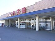 カスミ壬生店 792m