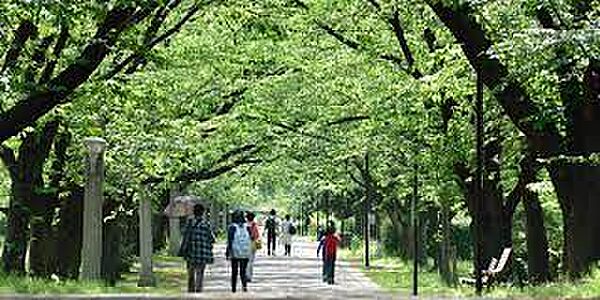 画像23:【その他】辰巳の森緑道公園まで1347ｍ