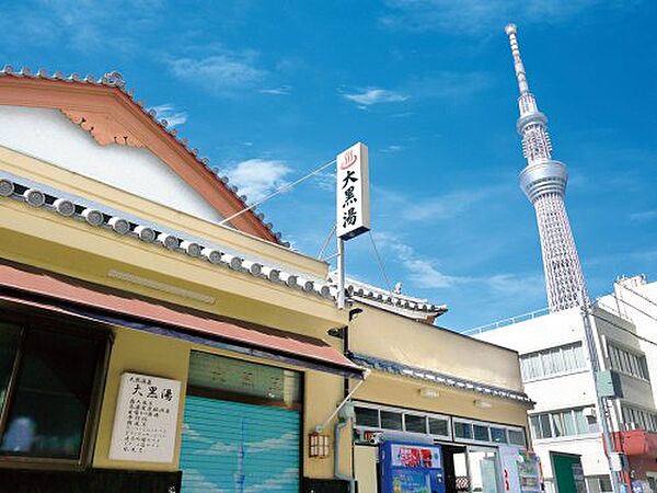 レジディア錦糸町 ｜東京都墨田区錦糸1丁目(賃貸マンション1LDK・12階・40.02㎡)の写真 その19