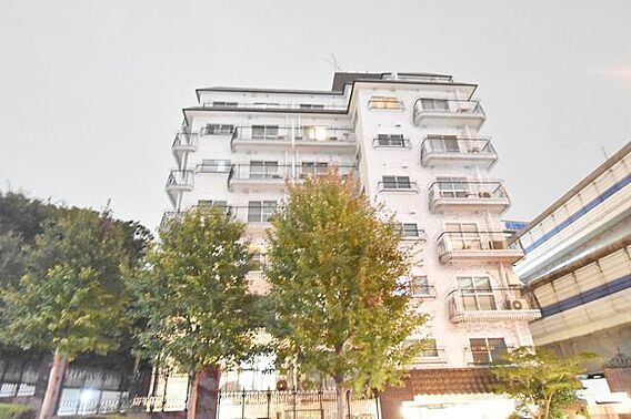 太陽に愛され、...