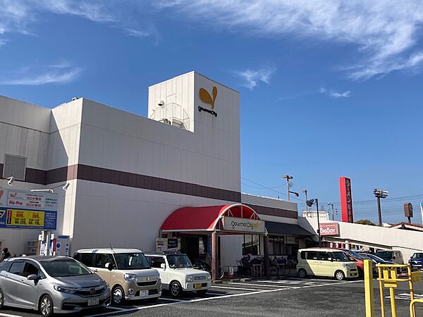 画像30:【スーパー】グルメシティ鶴見店まで222ｍ
