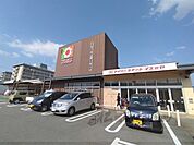 イズミヤ　橿原神宮前店まで350メートル