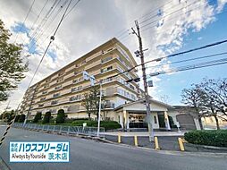物件画像 マイシティー高槻
