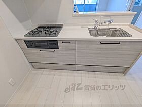 シャーメゾン　ルナピエナ 203 ｜ 大阪府東大阪市稲田上町1丁目（賃貸マンション2LDK・2階・59.77㎡） その10