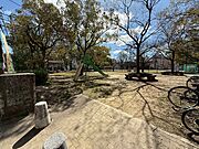 公園