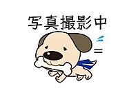 愛知県一宮市大宮1丁目：物件画像