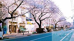 桜台駅(西武 池袋線) 徒歩11分。 870m