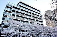 東京都新宿区西早稲田1丁目23-8：物件画像／株式会社アンビション・エージェンシー　新宿東口店