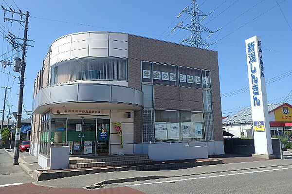 画像21:新潟信用金庫鳥屋野支店（500m）