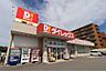 周辺：ダイレックス 新潟青山店（557m）
