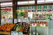 ローソンストア100江東大島六丁目団地店 徒歩4分。コンビニ 260m
