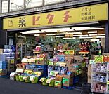 薬ヒグチ両国店 590m