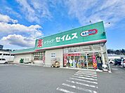ドラッグセイムス大井金子店 徒歩9分。ドラッグストアが整い、薬や日用品を気軽に購入できる便利な暮らしを叶えます。 690m