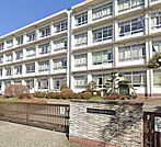 平塚市立金目中学校 中学校があり、落ち着いた環境で学べる安心感が子育て世帯に支持されています。 800m