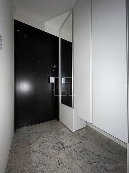 画像23:阿波座ライズタワーズフラッグ46　玄関スペース