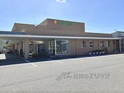 小嶋医院まで800メートル