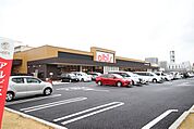 ザ　ビッグ　エクスプレス　向島店