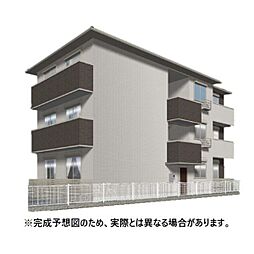 コンフォール白菊