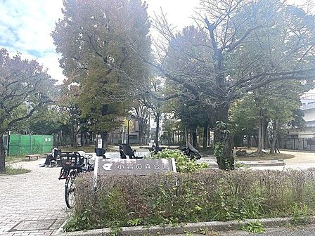 小岩の森公園 500m