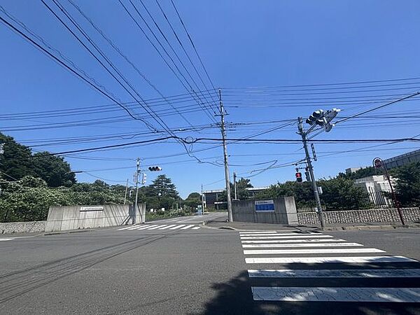 周辺を拡大表示