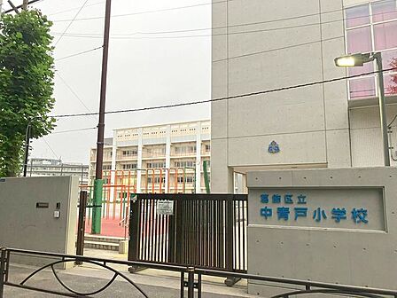 葛飾区立中青戸小学校 350m