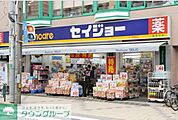 セイジョー 徒歩11分。ドラックストア 820m