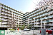 2018年3月撮影