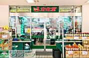 スーパー文化堂月島店 徒歩8分。スーパー 610m