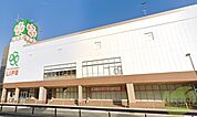 ライフ夙川店 965m