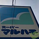 マルハチ立花店 321m