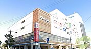 コロワ甲子園 1246m