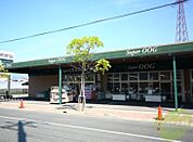 スーパーオオジ伊丹店 1091m