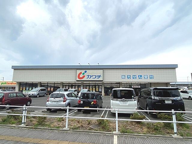 周辺 コープ野村長町アークス 2階/-