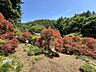 外観：北側山林前から東側風景