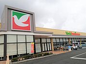 ヨークベニマル戸祭店（423m）