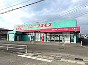 ドラッグストアコスモス大島店 860m