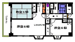 コスモファイブII 5階/501