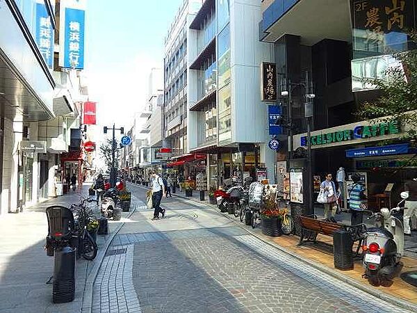 M`s Port 402｜神奈川県横浜市中区山下町(賃貸マンション1K・4階・36.24㎡)の写真 その28