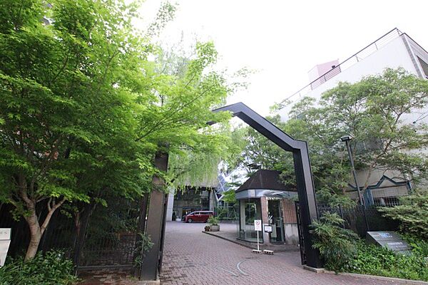 画像21:名古屋文化短期大学