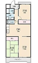 ピュア五反田 3DKの間取図画像