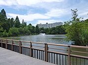 井の頭公園 3700m