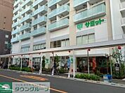 サミットストア鍋屋横丁店 徒歩7分。 560m