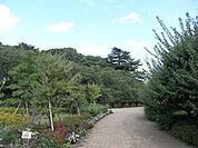 哲学堂公園 100m