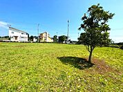 芝や木の緑が癒される環境。いざとなった時の避難場所ともなる公園です