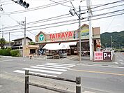 エコス　TAIRAYA　1100ｍ